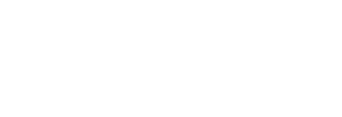 FLIR logo
